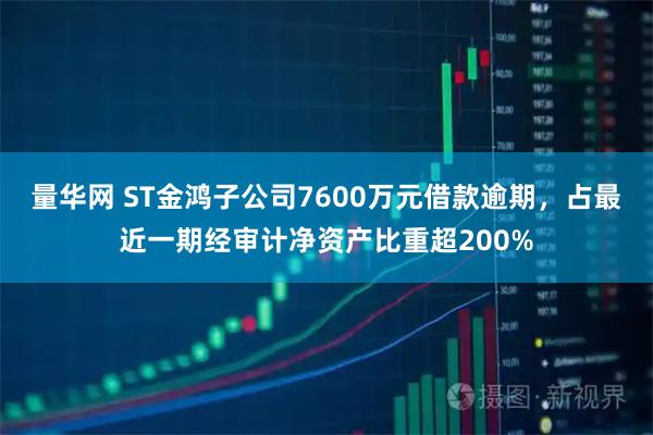 量华网 ST金鸿子公司7600万元借款逾期,占最近一期经审计净资产比重超200%